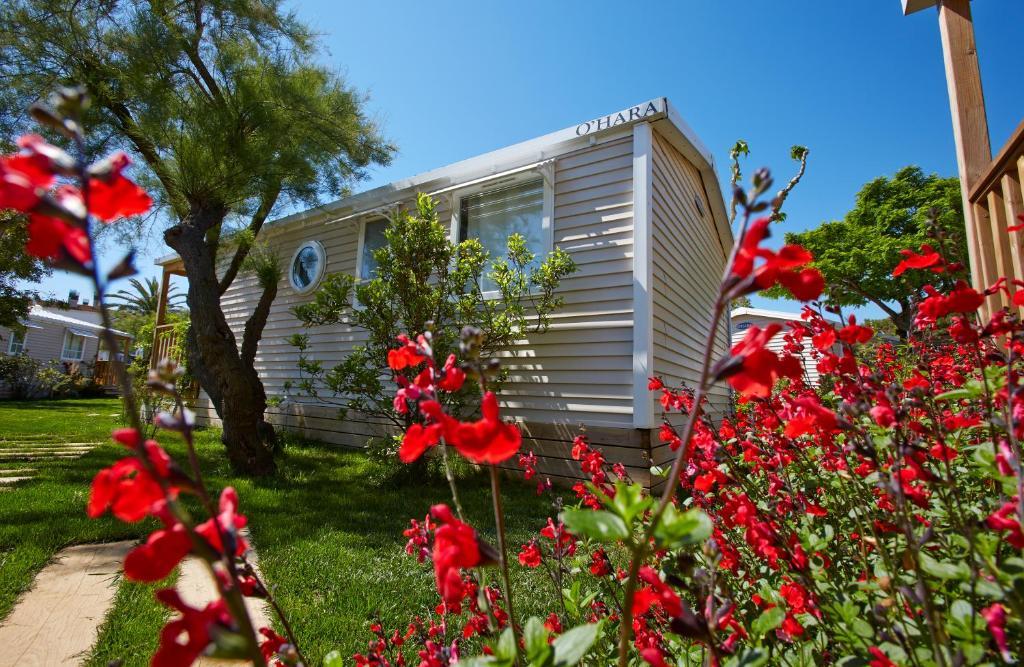 Apartaments Terraza - Salata Mar Росас Номер фото